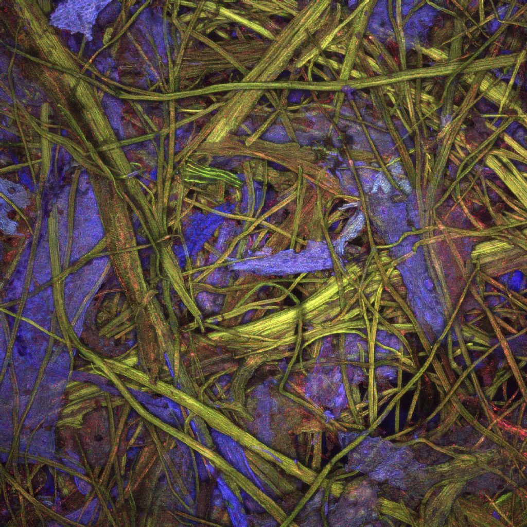 An image from the Paper Project gallery showing the colorful plant fibers.